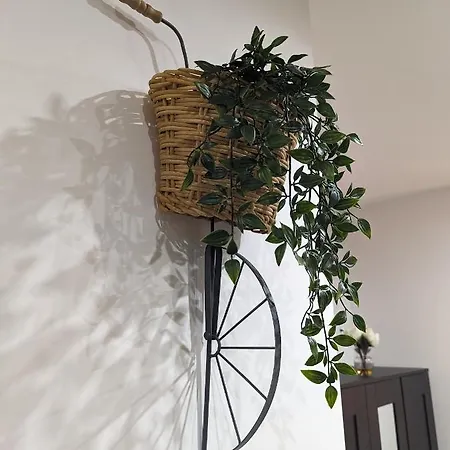Appartement Amari *